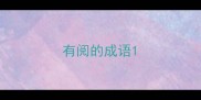 有阅的成语