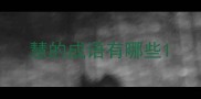 慧的成语有哪些