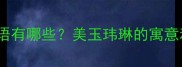带玮字的成语有哪些美玉玮琳的寓意和用法大