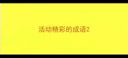 活动精彩的成语