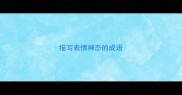 描写表情神态的成语