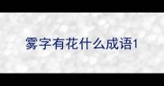 雾字有花什么成语