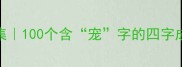 宠字成语合集100个含宠字的四字成语及用法
