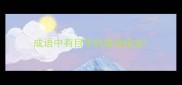 成语中有目字的成语接龙