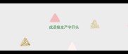 成语接龙严字开头
