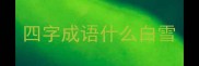 四字成语什么白雪