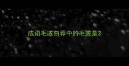 成语毛遂自荐中的毛遂是