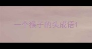 一个猴子的头成语