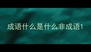 成语什么是什么非成语
