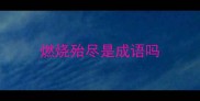 燃烧殆尽是成语吗