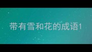 带有雪和花的成语