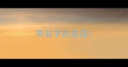 带装字的成语