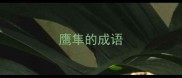 鹰隼的成语
