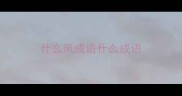 什么风成语什么成语