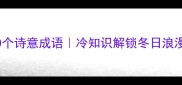 冬天表示花的10个诗意成语冷知识解锁冬日浪漫冷知识