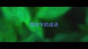 带帅字的成语