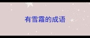 有雪霜的成语