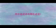 用中造成语有哪些成语