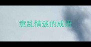 意乱情迷的成语