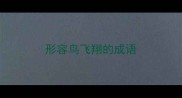 形容鸟飞翔的成语