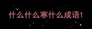 什么什么寒什么成语