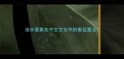 池水意象在中文文化中的象征意义