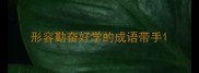 形容勤奋好学的成语带手