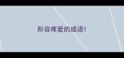 形容疼爱的成语