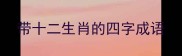 带十二生肖的四字成语