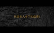 形容老人老了的成语