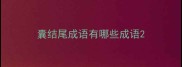 囊结尾成语有哪些成语