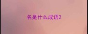 名是什么成语