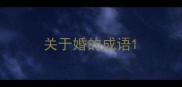 关于婚的成语