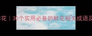 四字成语形容鲜花30个实用必备的鲜花相关成语及使用场景指南