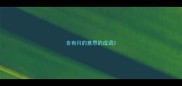 含有月的意思的成语