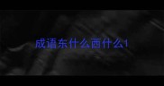成语东什么西什么