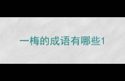 一梅的成语有哪些
