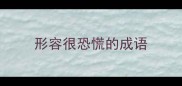 形容很恐慌的成语