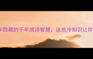 泵涌千里泵字隐藏的千年成语智慧这些冷知识让你秒变行业达人