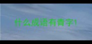 什么成语有青字