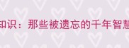 冷门成语冷知识那些被遗忘的千年智慧与历史渊源