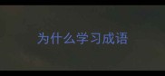为什么学习成语