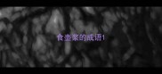 食壶浆的成语
