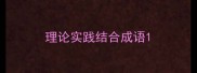 理论实践结合成语