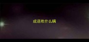 成语欺什么瞒