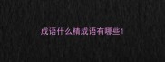 成语什么精成语有哪些