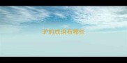 驴的成语有哪些