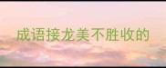 成语接龙美不胜收的