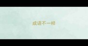 成语不一样