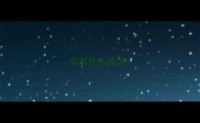 安石什么成语
